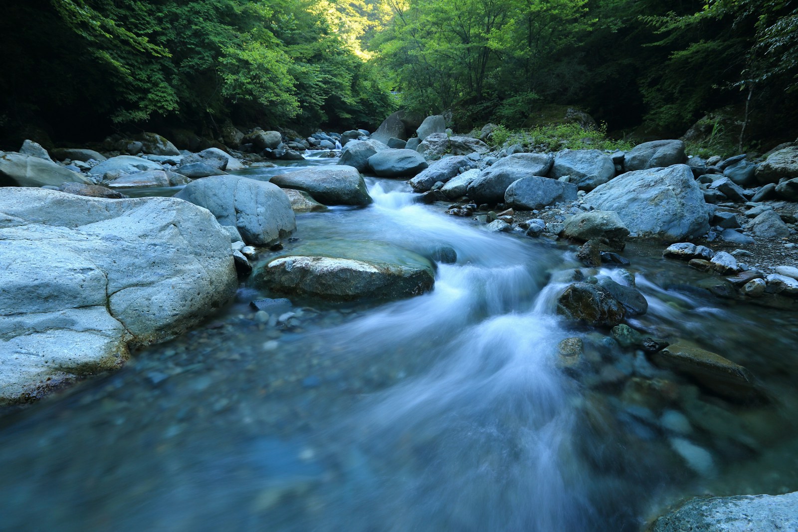Photo by kazuend body river surrounded by dress